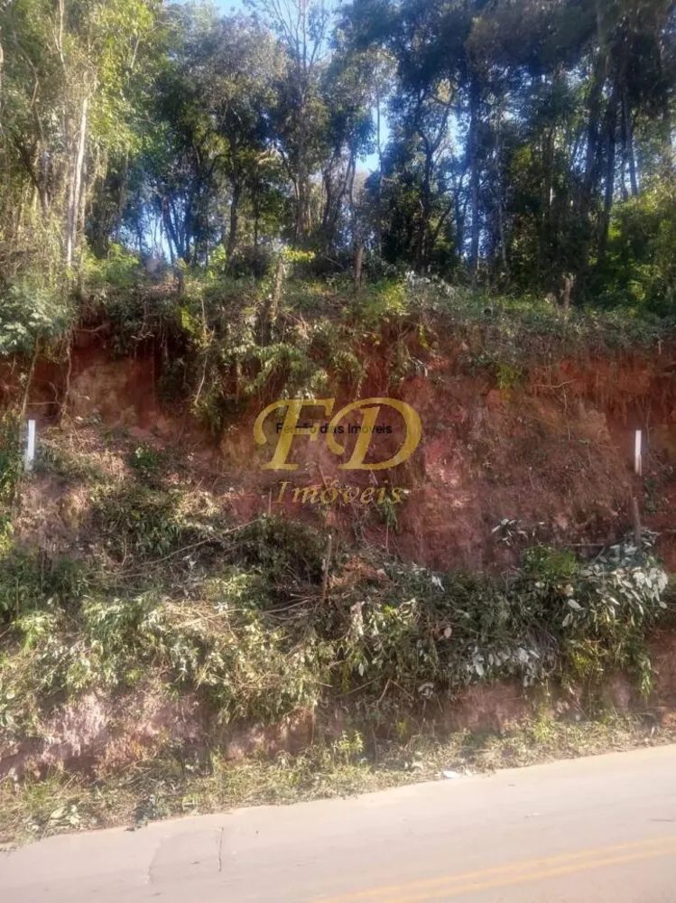Terreno, 250 m² - Foto 1