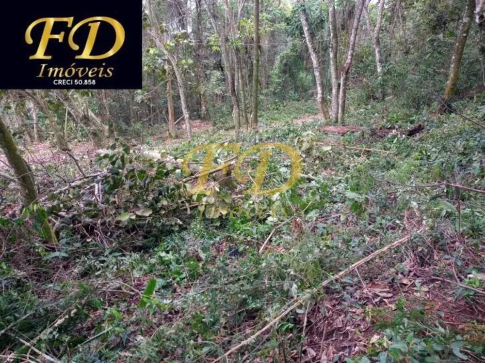 Terreno, 350 m² - Foto 4