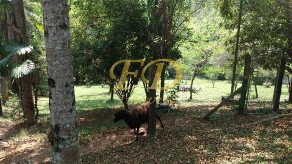 Terreno à venda, 2000m² - Foto 1