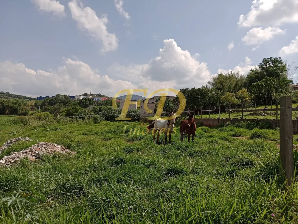 Terreno, 3300 m² - Foto 5