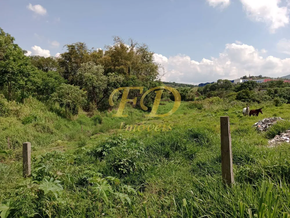 Terreno, 3300 m² - Foto 7
