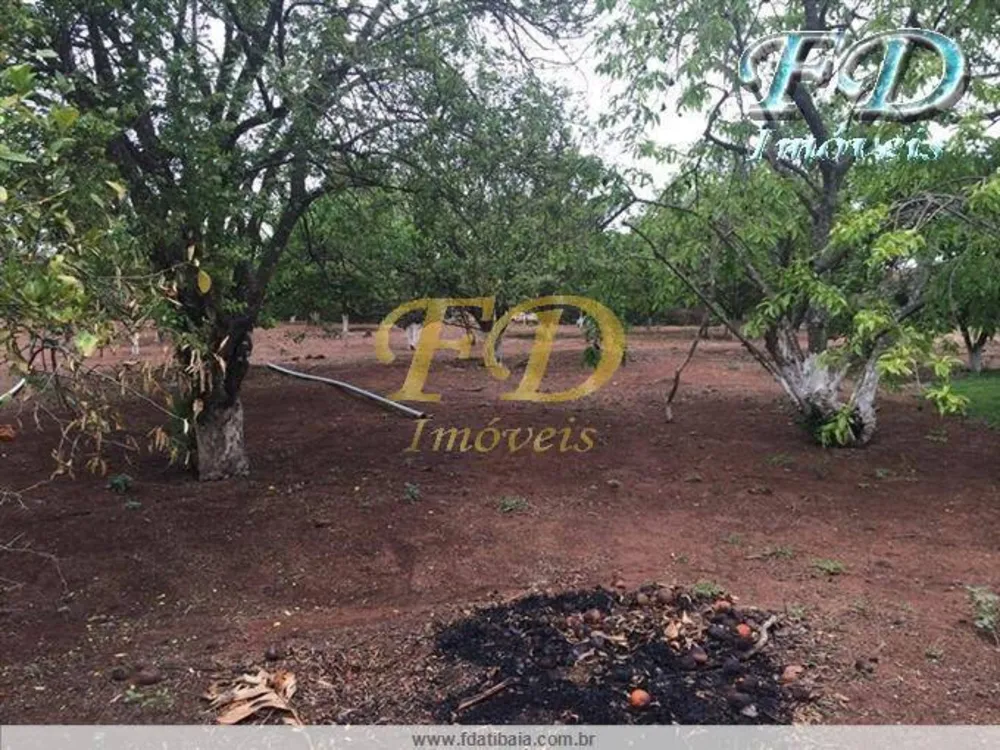 Sítio, 6 quartos, 3 hectares - Foto 6