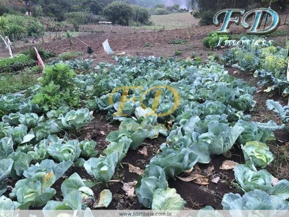 Sítio, 6 quartos, 3 hectares - Foto 7