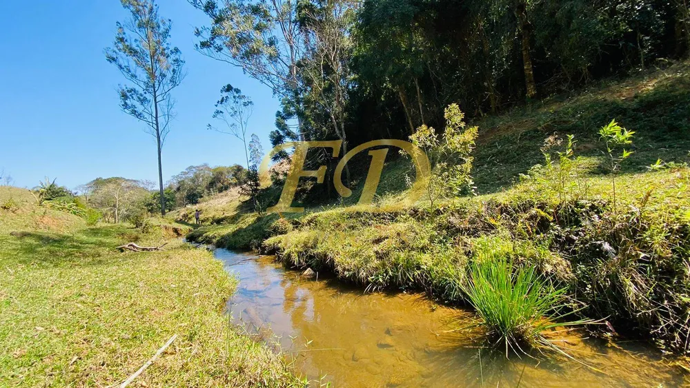 Terreno, 2 hectares - Foto 11