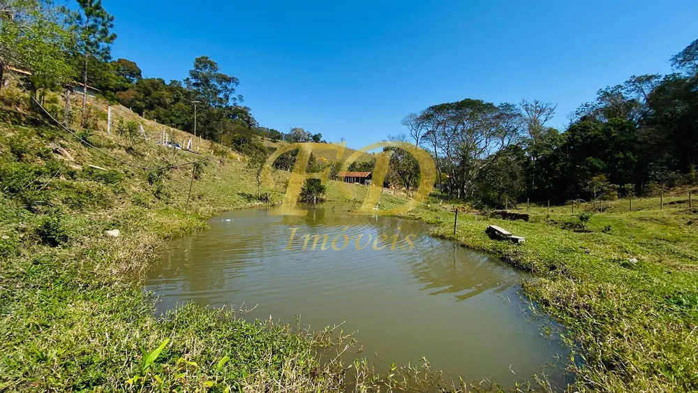 Terreno, 2 hectares - Foto 9