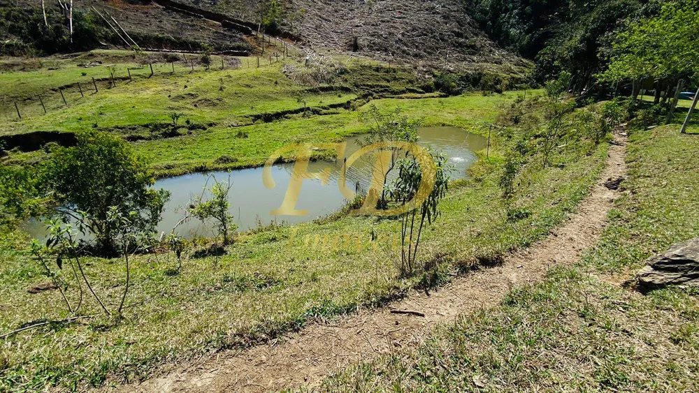 Terreno, 2 hectares - Foto 8