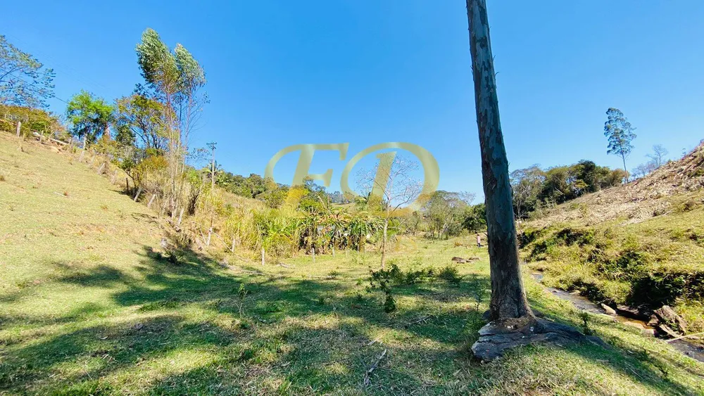 Terreno, 2 hectares - Foto 10