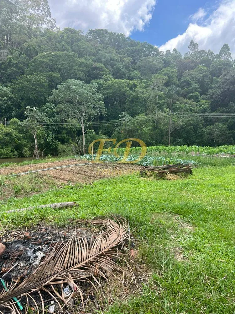 Terreno, 42 hectares - Foto 6