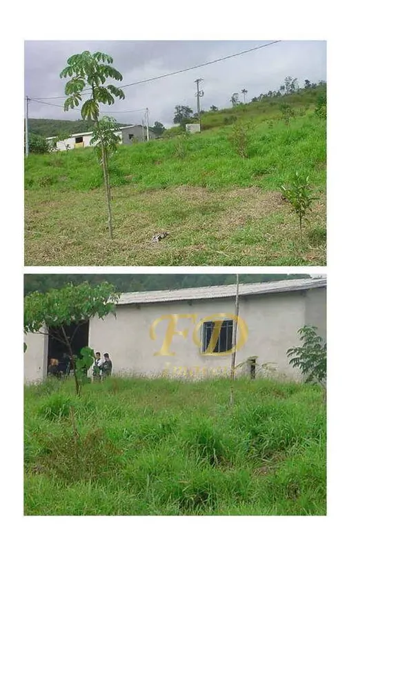 Terreno, 42 hectares - Foto 3