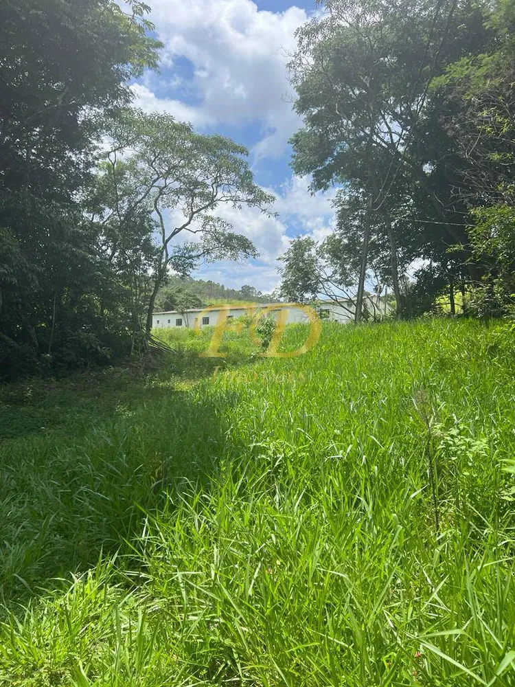 Terreno, 42 hectares - Foto 4