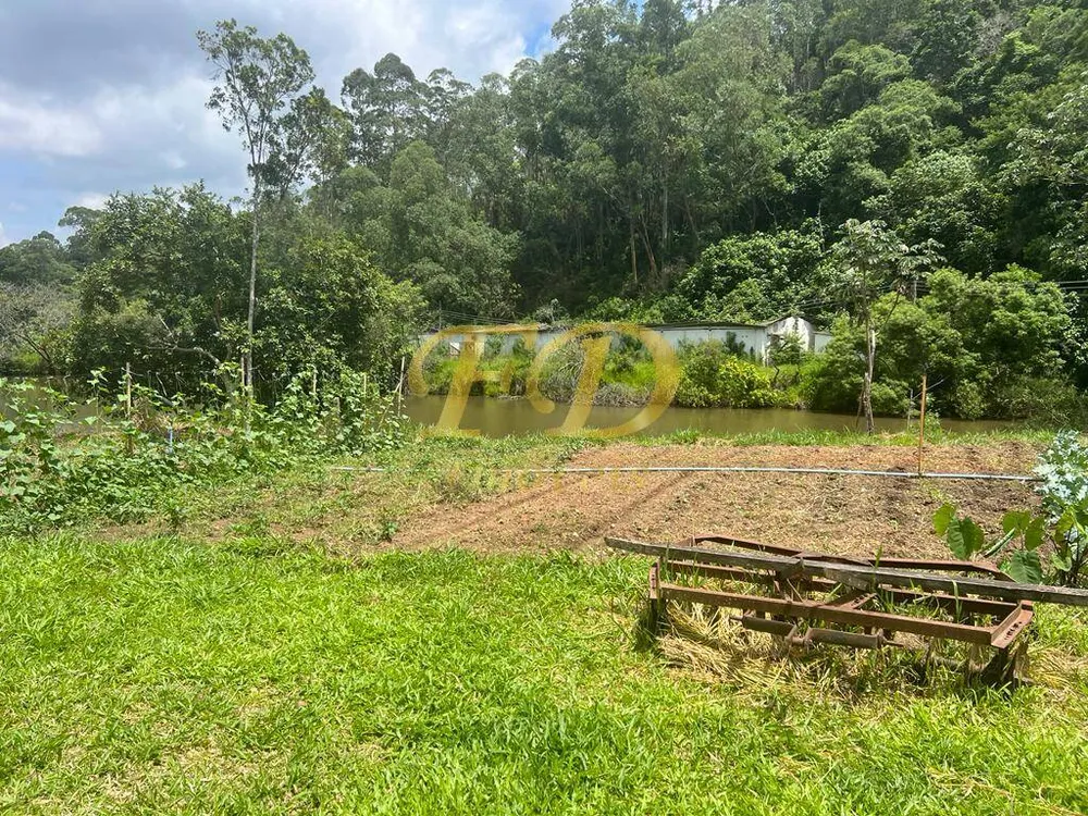 Terreno, 42 hectares - Foto 7