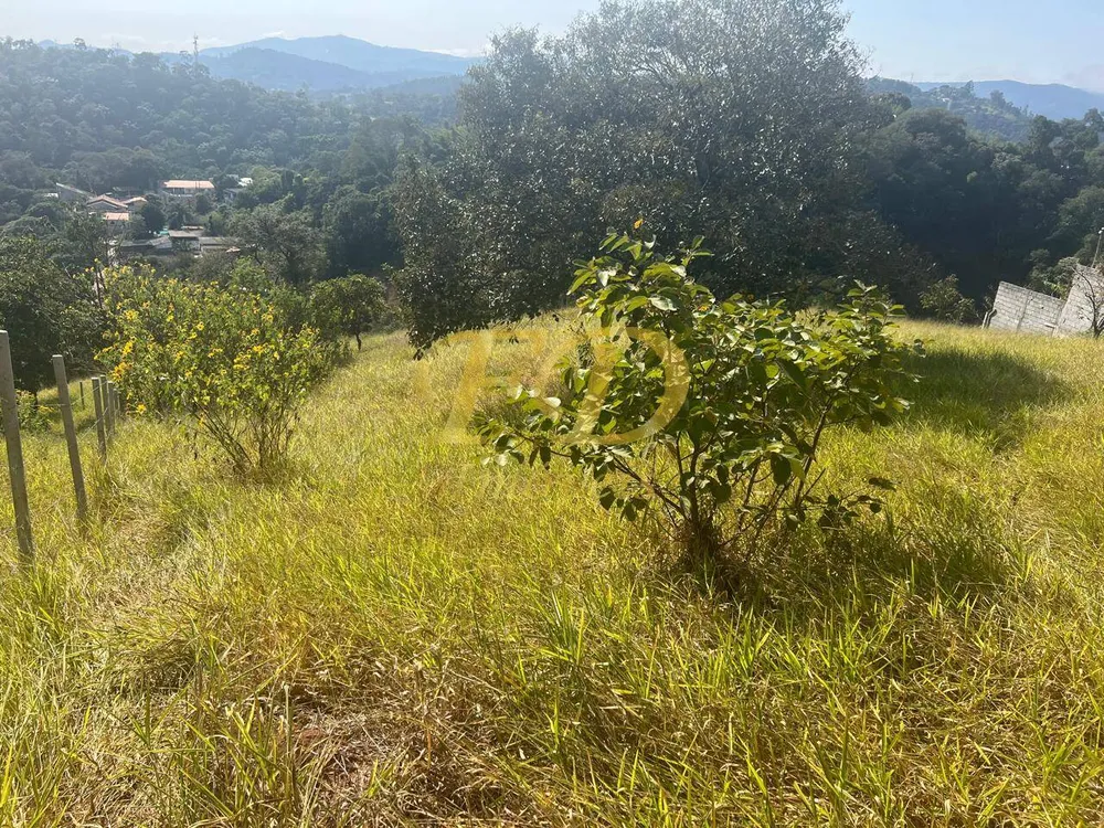 Terreno, 1600 m² - Foto 9