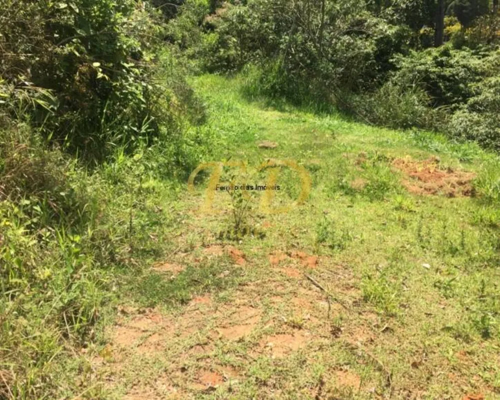 Chácara, 3 quartos, 2500 m² - Foto 5