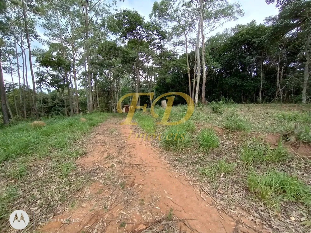 Terreno, 5 hectares - Foto 8