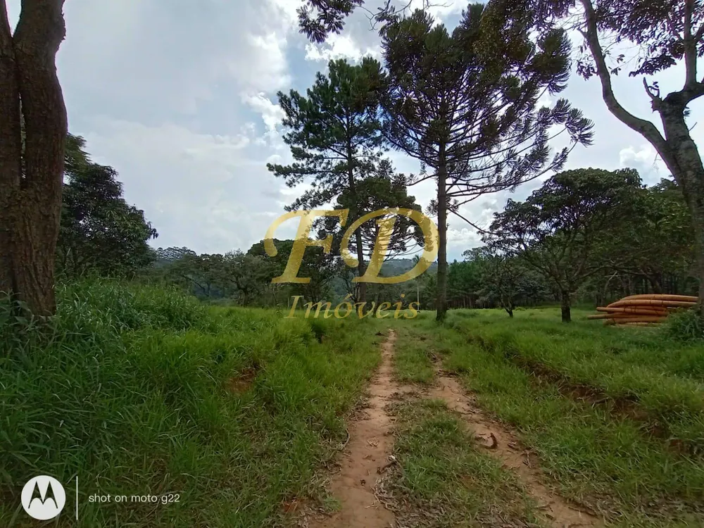 Terreno, 5 hectares - Foto 4