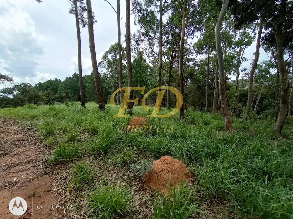 Terreno, 5 hectares - Foto 6