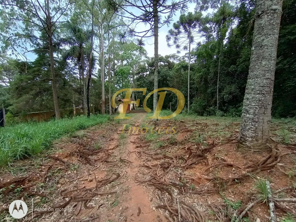 Terreno, 5 hectares - Foto 4