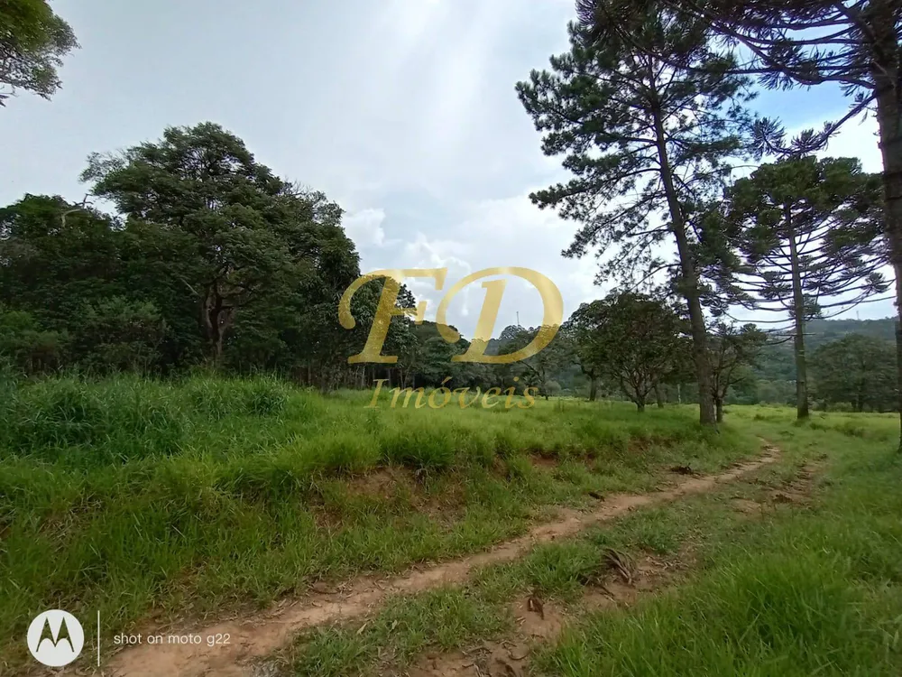 Terreno, 5 hectares - Foto 3