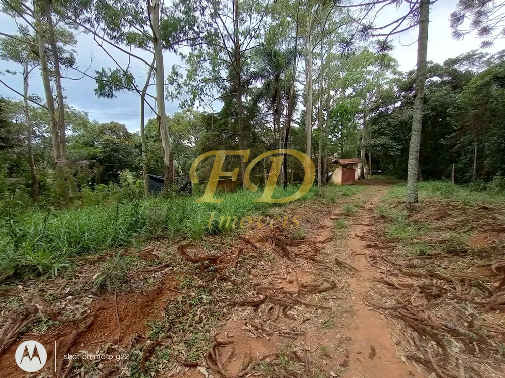 Terreno, 5 hectares - Foto 2