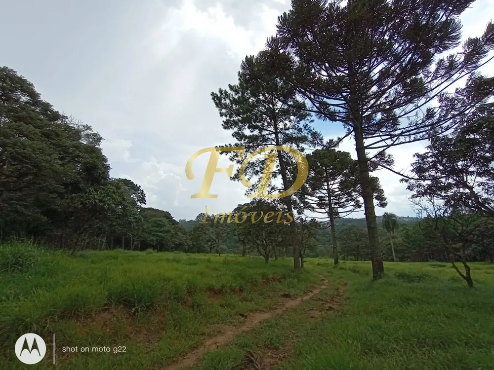 Terreno, 5 hectares - Foto 3