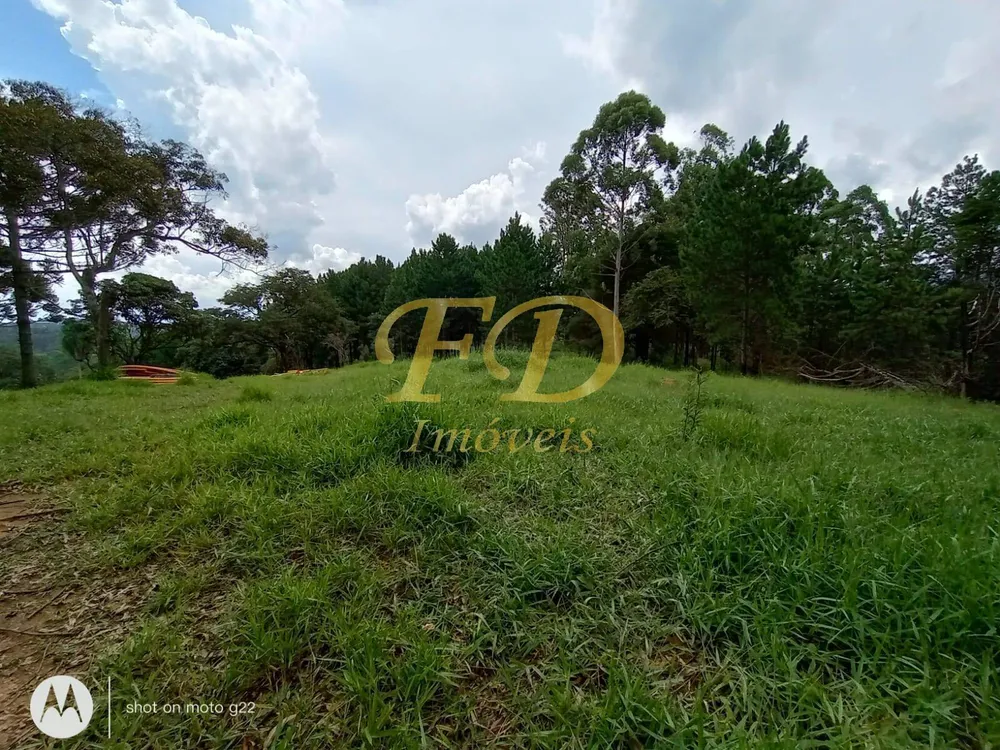 Terreno, 5 hectares - Foto 1