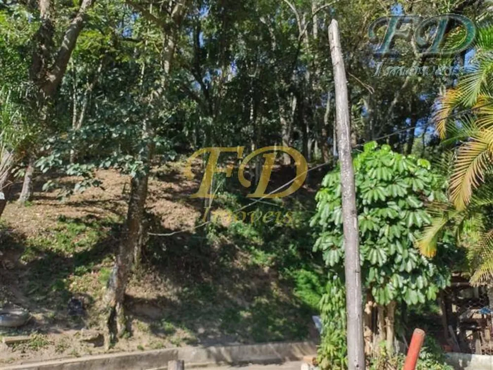 Chácara, 3 quartos, 3185 m² - Foto 5