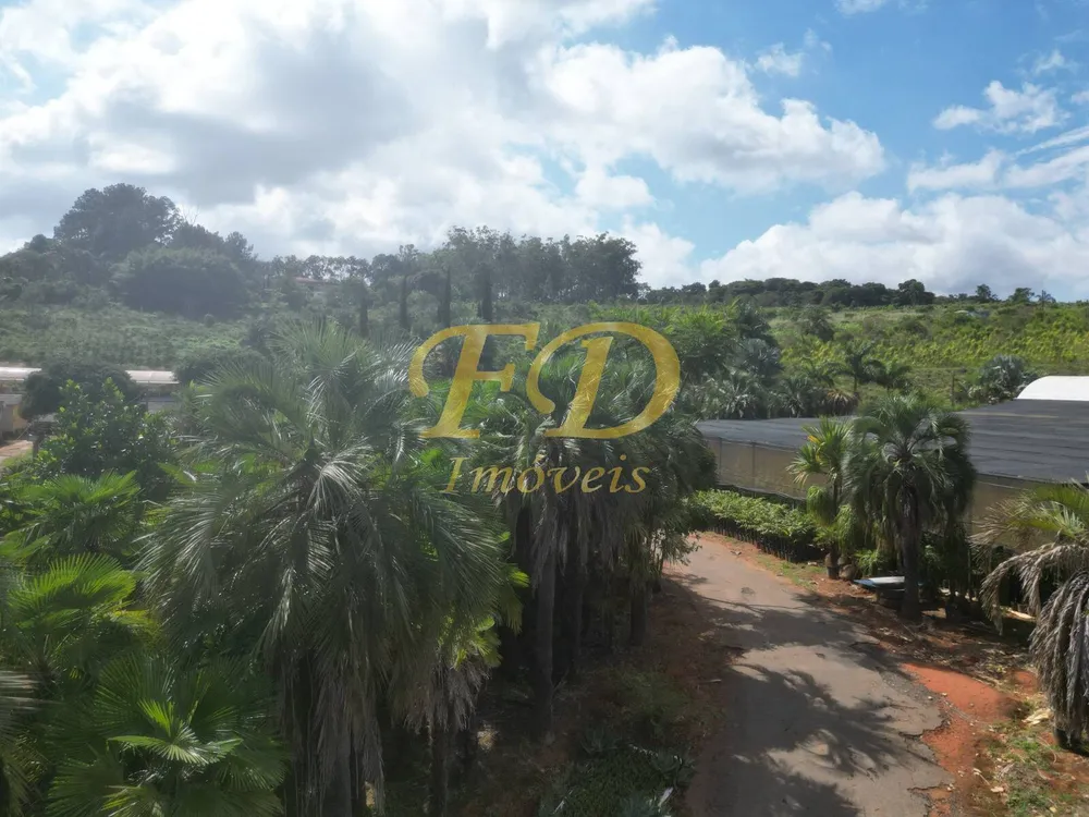 Terreno, 20 hectares - Foto 4