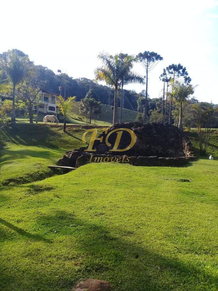 Sítio, 3 quartos, 34 hectares - Foto 3