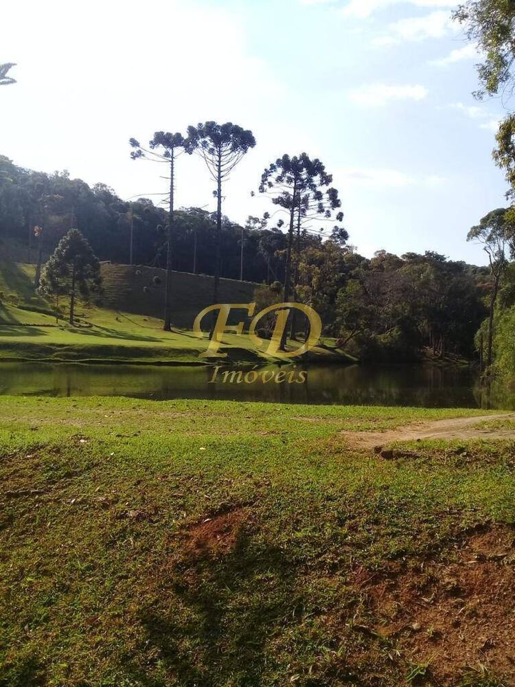 Sítio, 3 quartos, 34 hectares - Foto 2