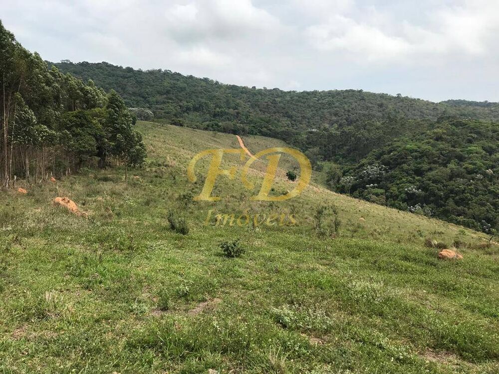 Terreno, 24 hectares - Foto 6