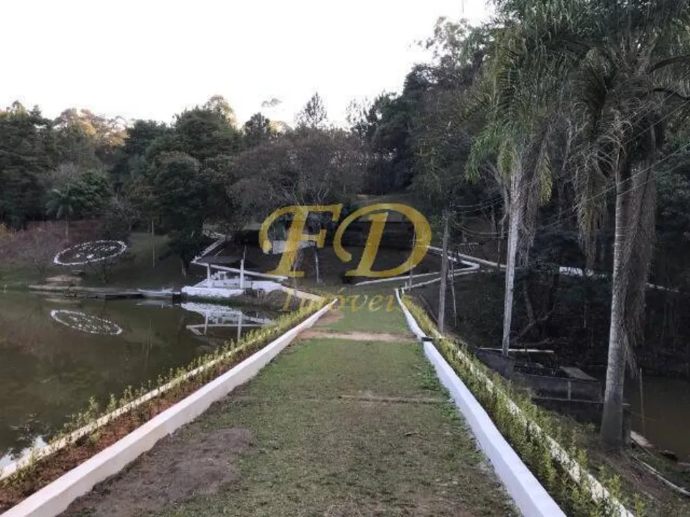 Terreno, 3 hectares - Foto 4