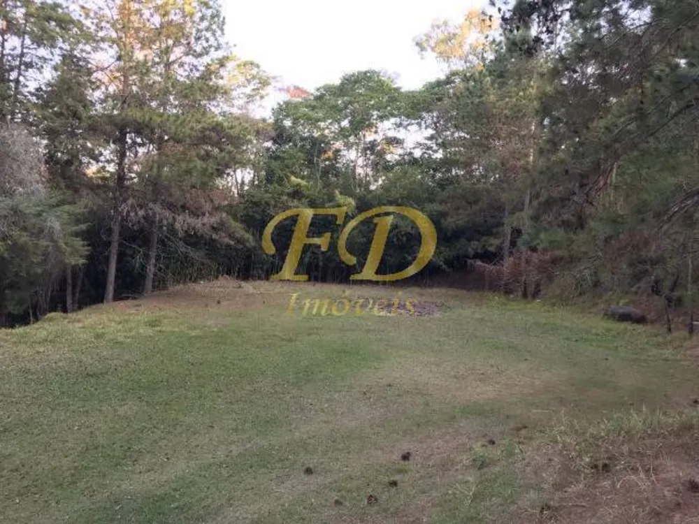 Terreno, 3 hectares - Foto 2