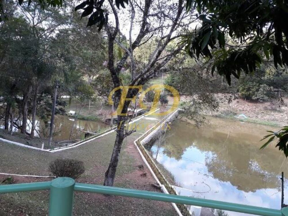 Terreno, 3 hectares - Foto 8