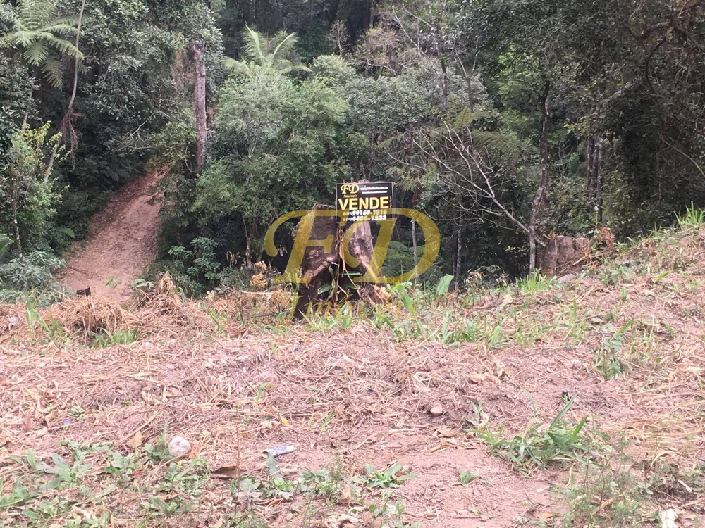 Terreno, 300 m² - Foto 4