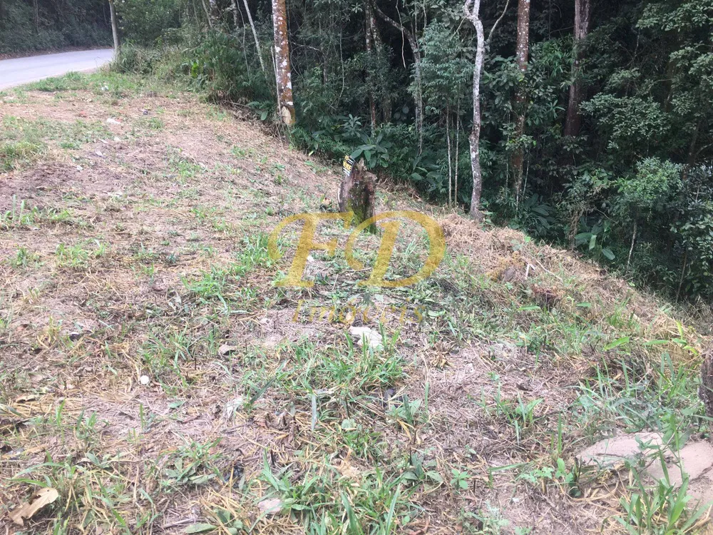 Terreno, 300 m² - Foto 3