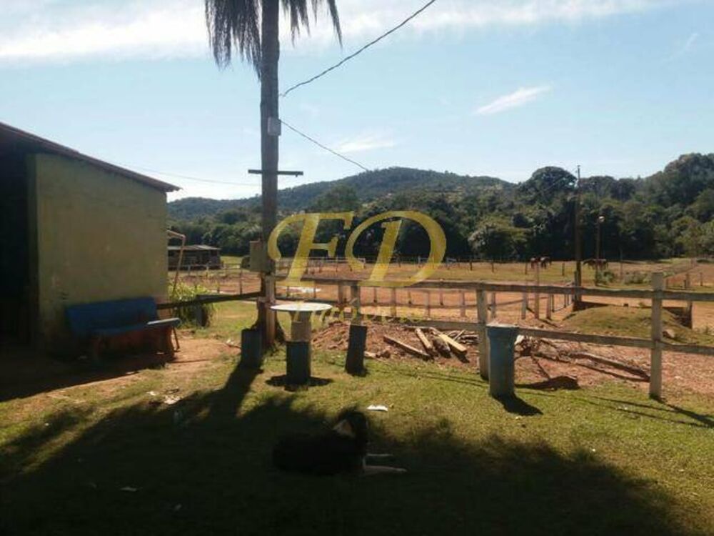 Terreno, 5 hectares - Foto 8
