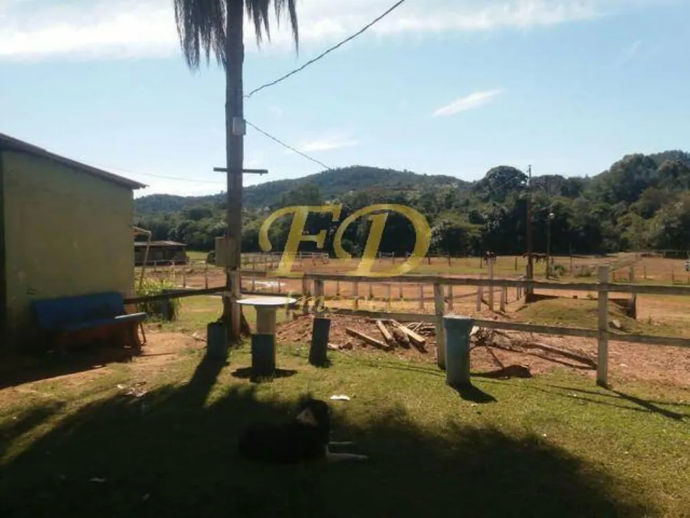 Terreno, 5 hectares - Foto 3