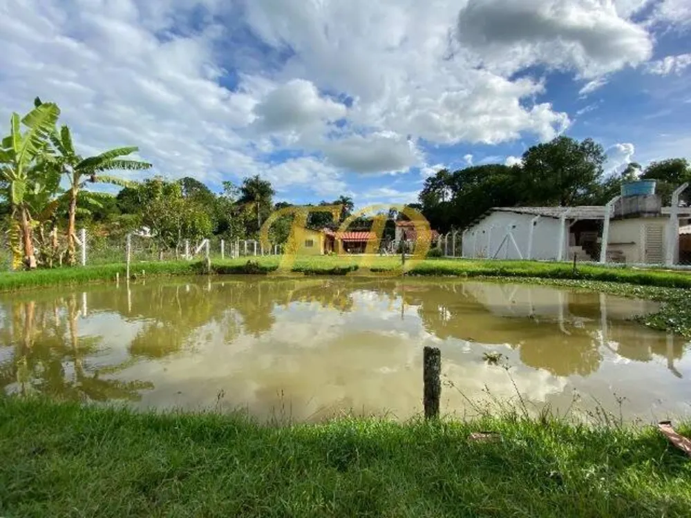 Chácara, 6 quartos, 1500 m² - Foto 7