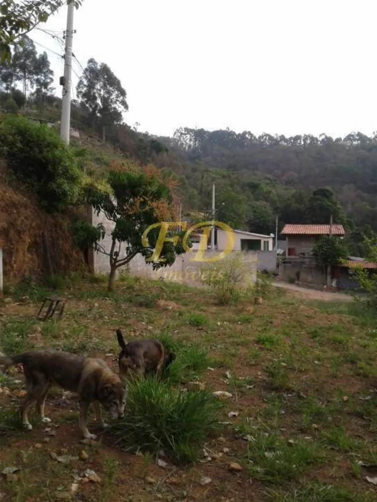 Terreno, 274 m² - Foto 2
