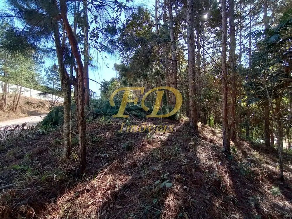 Terreno, 2410 m² - Foto 8