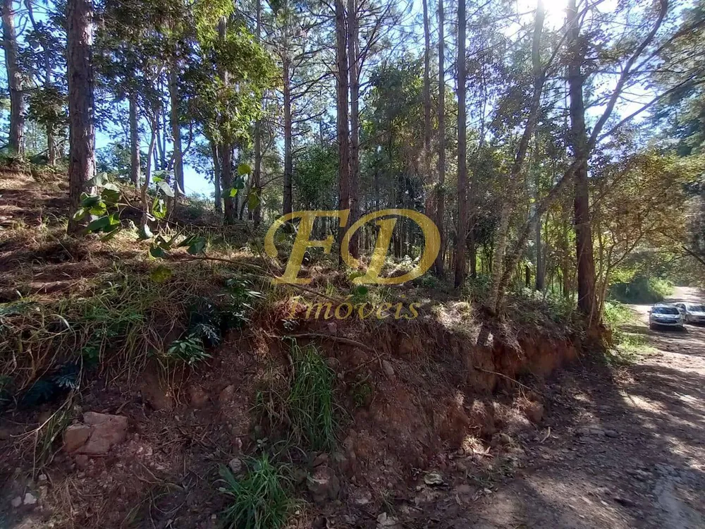 Terreno, 2410 m² - Foto 6