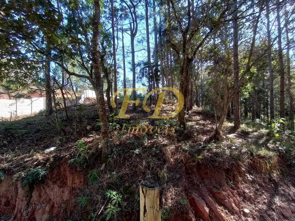 Terreno, 2410 m² - Foto 5