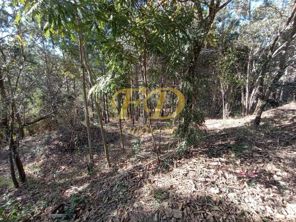Terreno, 2410 m² - Foto 4