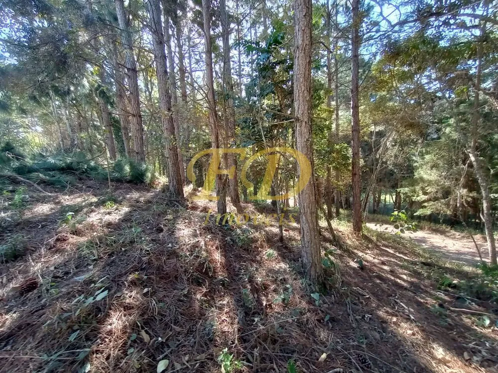 Terreno, 2410 m² - Foto 7