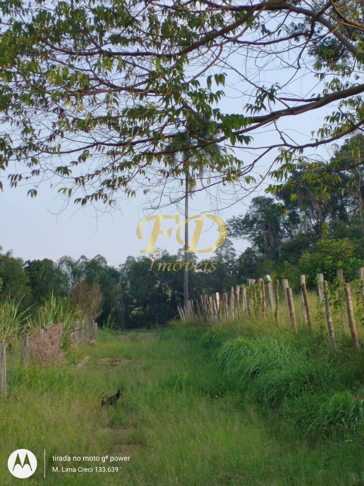 Sítio, 5 quartos, 8 hectares - Foto 8