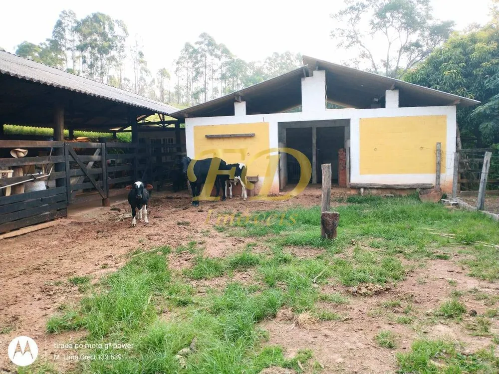 Sítio, 5 quartos, 8 hectares - Foto 10
