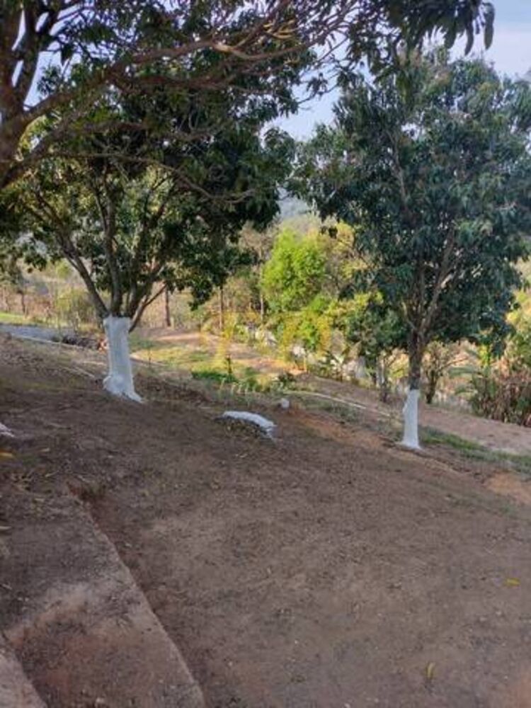 Chácara à venda com 3 quartos, 300m² - Foto 4