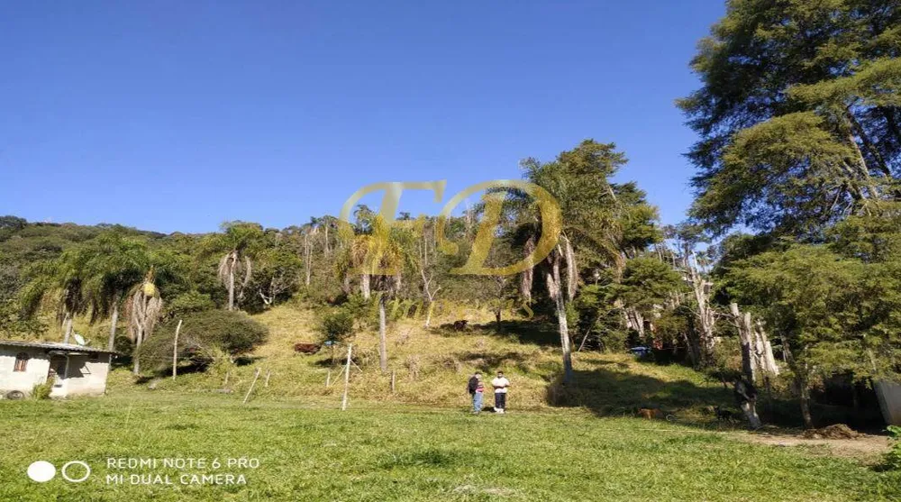Terreno - Foto 5