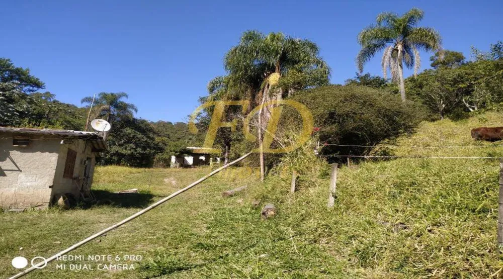 Terreno - Foto 3