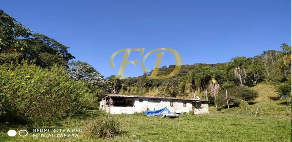 Terreno - Foto 4